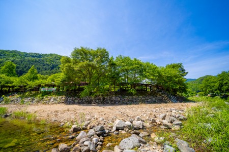 계곡에서 바라본 캠핑장